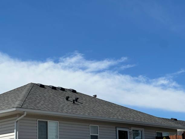 Best Roof Maintenance and Cleaning  in , AK